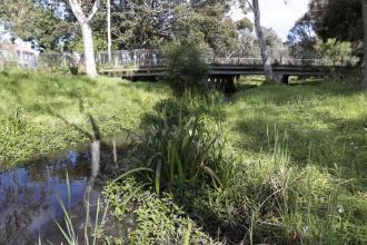 View down stream