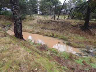 top left can see where turbid water is entering