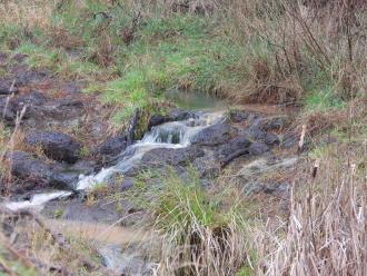 the entry point. Clear water to the left and turbid joining it