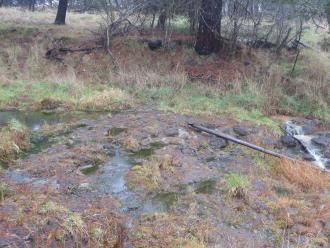 Another view of entry point with clear water upstream