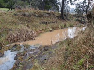 Impact on down stream water. Just past this the creek enters the bigger pool where our samples come from