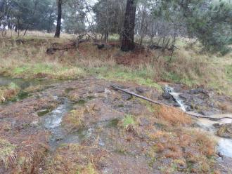 Creek before and after turbid water enters.