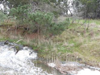 Creek runnning fast