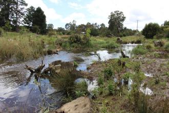 Up stream