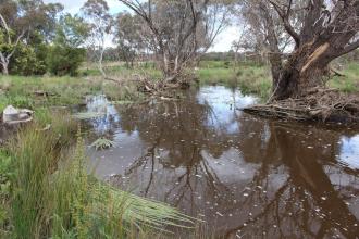 Down stream
