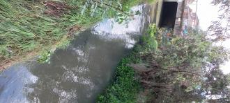 Upstream view Stony Creek MSO670