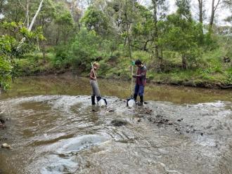 Lucy and Conan sampling u/s of site