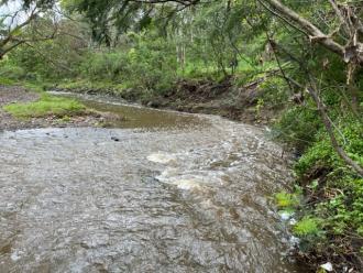 Downstream of site.