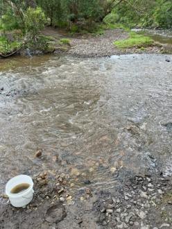 View across creek from site