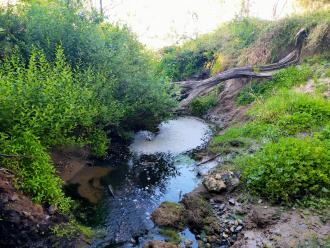 Detail of foam downstream under bridge