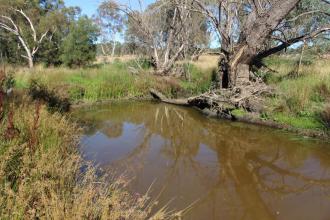 Down stream