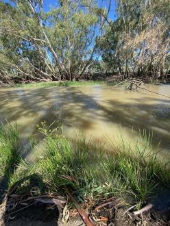 river appeared to be flowing and had lost its lime green colour from last week