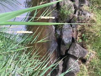 Water flowing into creek from the rocks close to Northland