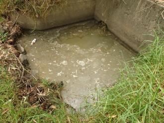 Drainage pit view showing grey scum