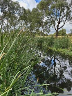 looking towards reserve