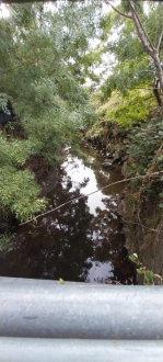 Blind Creek looking US from Earthworks