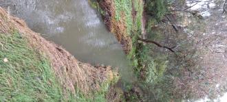 Downstream, Stony Creek after rain