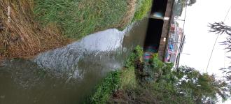 Upstream, Stony Creek after rain