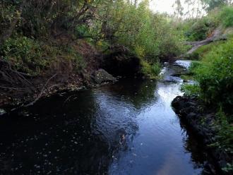 View downstream under bridge