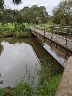 water level at sampling location