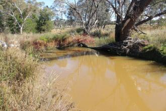Down stream