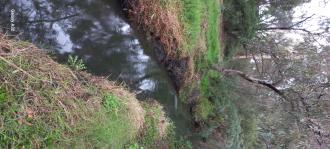 Stony Creek, MSO670 downstream