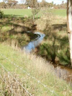 taken on 9/06/2023 looking at the channel 500m north of Stewarts Lane