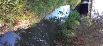 Stony Creek, MSO670, upstream