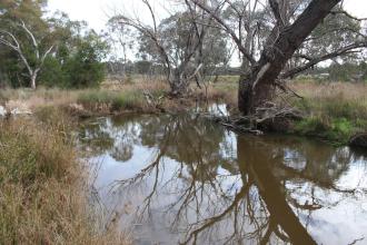 Down stream