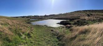 Facing North towards Mt Buninyong. M. Dowler