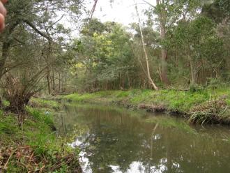 looking downstream