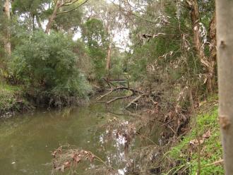 looking upstream