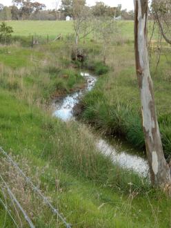 taken on 5/08/2023 showing channel 500m north of Stewarts Lane