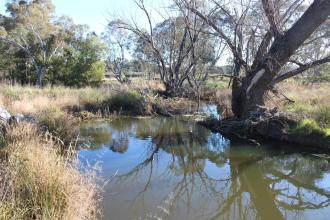 Down stream