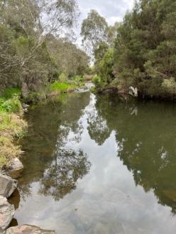 Upstream from sampling site