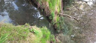 Stony Creek, MSO670 downstream