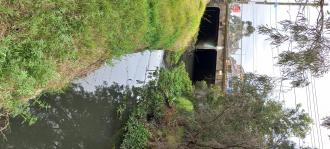 Stony Creek, MSO670 upstream