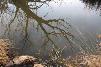Site