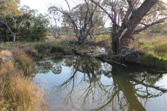 Down stream