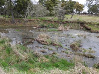 fast flow just above collection site