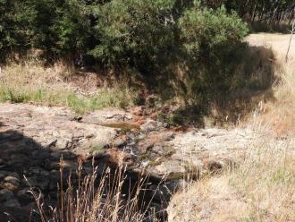 creek flow just upstream