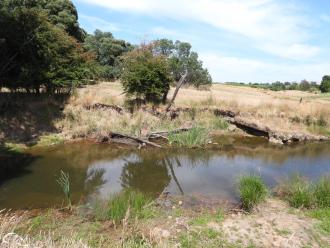 creek at sample site