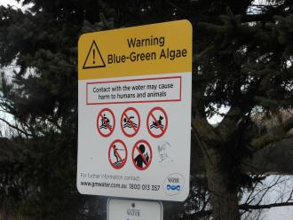Blue-green algae warning and 'helpful' extra warning ;)