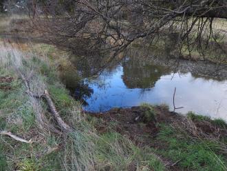 Creek near collection site with fishing? disturbed soil and Y shaped stick to hold rod.