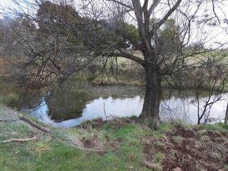 More disturbed soil for fishing?
