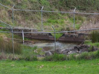 spring weir