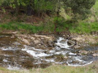 creek at point drain joins