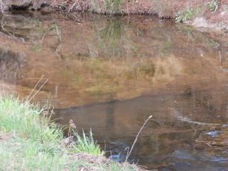 clear water showing rocky base
