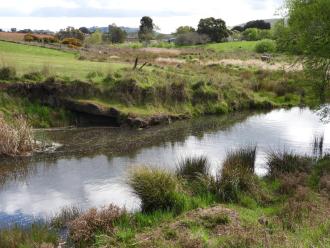 creek at collection site