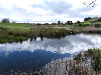 creek at collection site